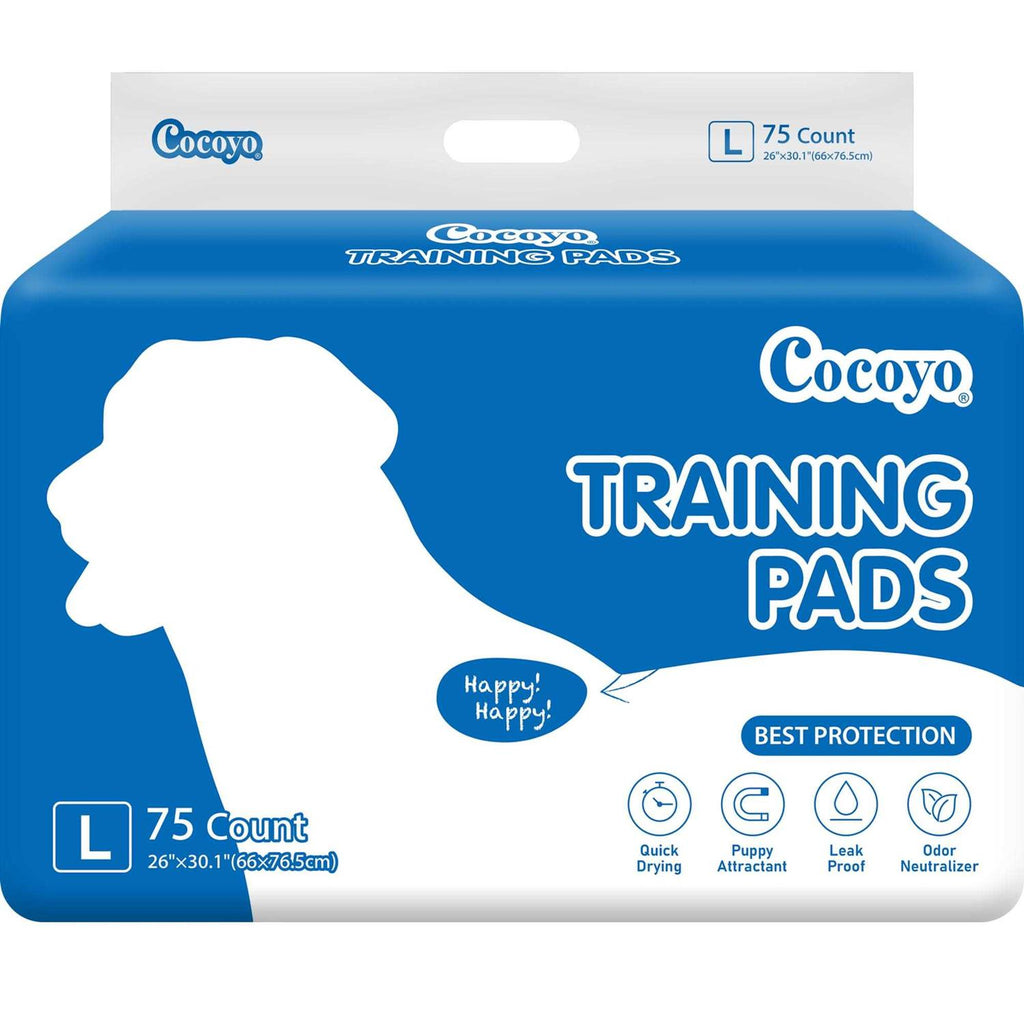 Dog Training Pads G497985